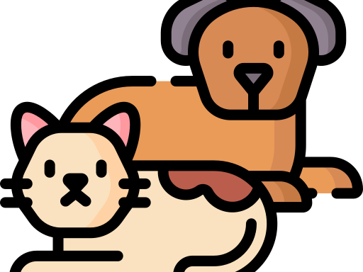 11. MASCOTAS